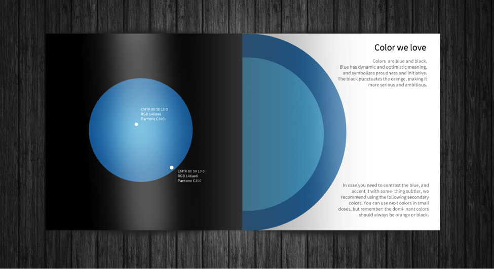 Brand book producing guide